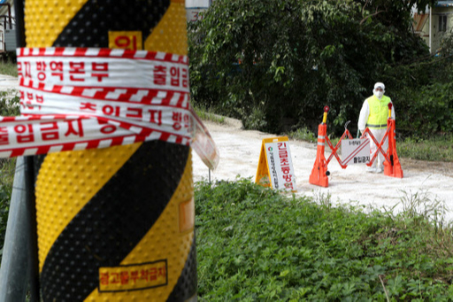 경기도 파주시에서 아프리카돼지열병(ASF)이 발생해 방역당국이 관계된 양돈 농장을 통제하고 있다. 연합뉴스