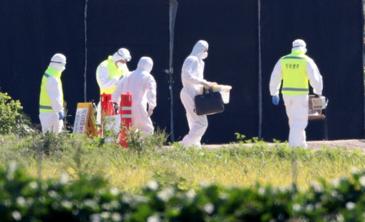 18일 아프리카돼지열병(ASF)이 발생한 경기도 파주시의 한 양돈농장으로 역학조사팀이 들어가고 있다. 연합뉴스