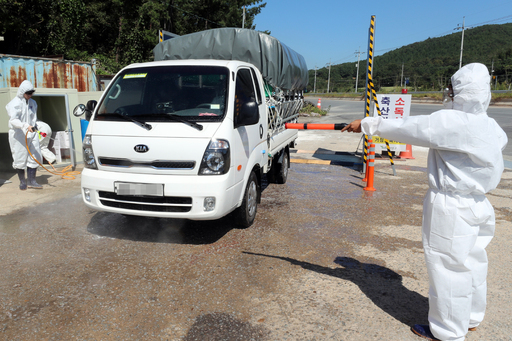 심각 단계의 아프리카돼지열병 위기 경보가 내려진 18일 광주 광산구 삼도동에 마련된 거점소독시설에서 방역 활동이 이뤄지고 있다. 연합뉴스