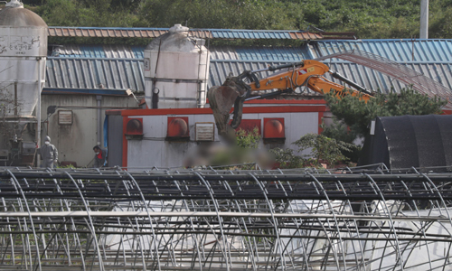 19일 경기도 파주시의 아프리카돼지열병(ASF) 발생 양돈농가에서 방역당국이 농장 내부를 정리하고 있다. 연합뉴스