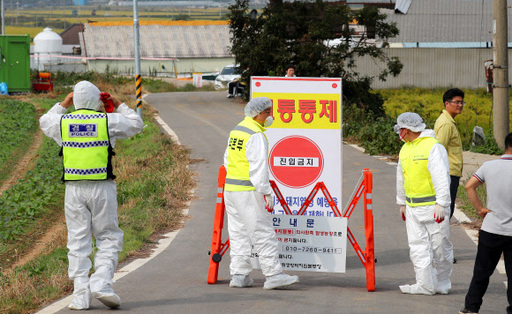 27일 오후 국내에서 9번째로 아프리카 돼지열병(ASF) 확진판정을 받은 인천 강화군 하점면의 한 농장에서 방역 관계자들이 현장 주변을 통제하고 있다. 뉴스1