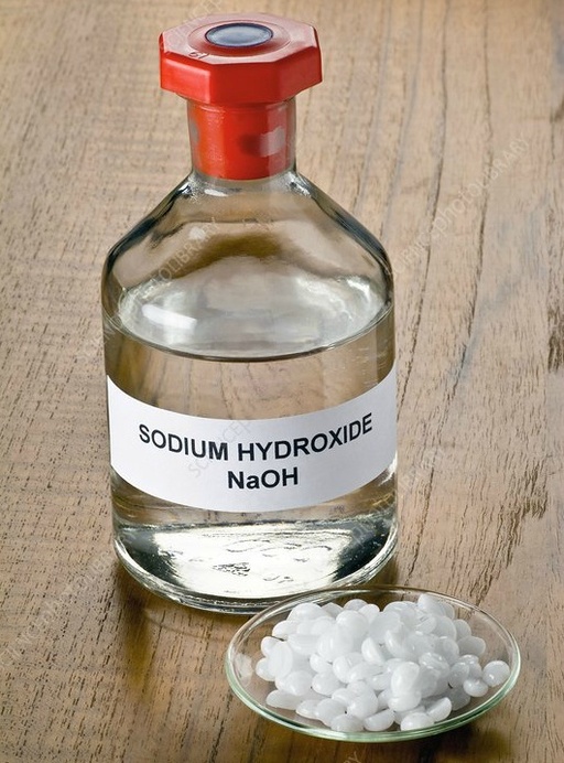 출처=사이언스 포토 라이브러리(sciencephoto.com)