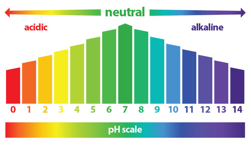 출처=www.multiforcehealth.com