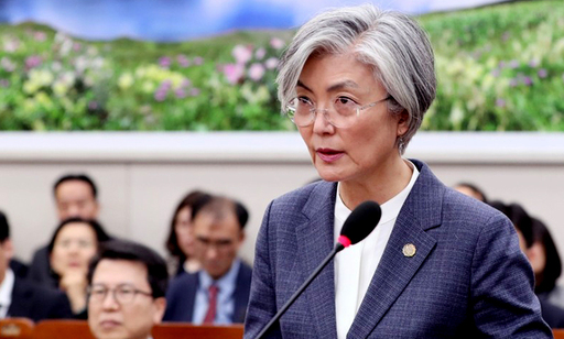 강경화 외교부 장관이 21일 국회 외교통일위원회 전체회의에서 법안 제안을 설명하고 있다. 연합뉴스