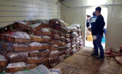 2016년 4월 울산경찰청이 밍크고래 40마리를 불법 포획·유통한 업자들을 검거할 당시 냉동창고에 보관돼 있던 고래고기의 모습. 울산경찰청 제공