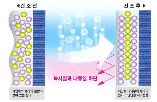 출처=노루페인트