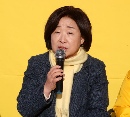 심상정 정의당 대표가 19일 서울 여의도 국회 본청 앞 농성장에서 열린 상무위원회에서 발언하고 있다. 뉴스1
