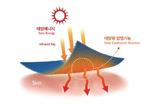 출처=벤텍스코리아