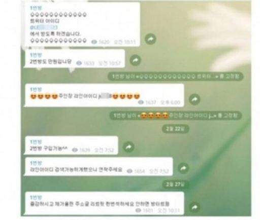 n번방 대화내용 중 일부 갈무리. 온라인 커뮤니티 캡처