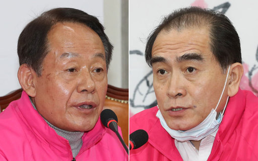 최윤희 전 합참의장(왼쪽)과 태영호 전 주영북한공사