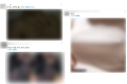 이번달 트위터에 올라온 일명 ‘일탈계’ 게시물들. 트위터 캡처