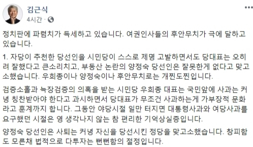 김근식 경남대 정치외교학과 교수(전 미래통합당 서울 송파병 후보). 페이스북 캡처
