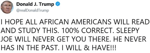 도널드 트럼프 미국 대통령이 흑인을 대하는 조 바이든 전 부통령의 태도를 비난하며 트위터에 올린 글. 트위터 캡처
