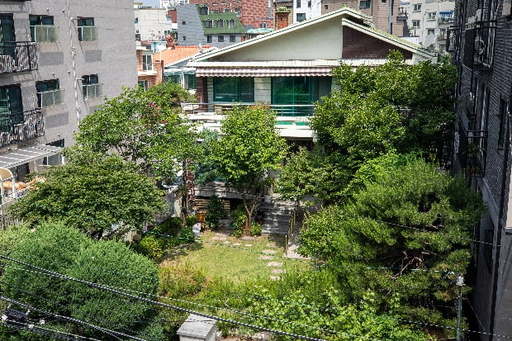 서울 마포구 연남동 ‘평화의 우리집’. 뉴스1