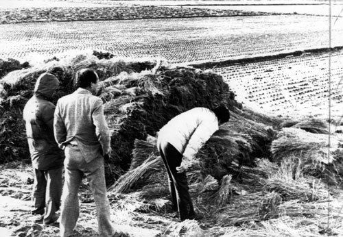 1987년 1월 5차 사건이 발생한 화성 황계리 현장에서 경찰이 수사를 벌이고 있다. 연합뉴스