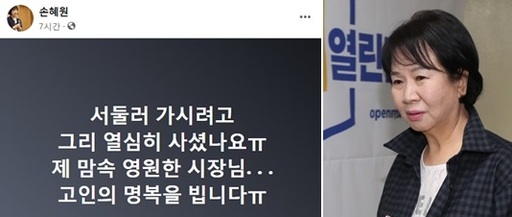 손혜원 전 의원(오른쪽, 연합뉴스), 그의 페이스북 갈무리.