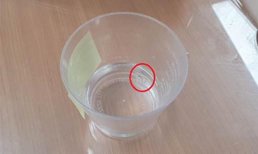 지난 20일 부산 지역 수돗물에서 발견된 깔따구. 부산시 상수도사업본부