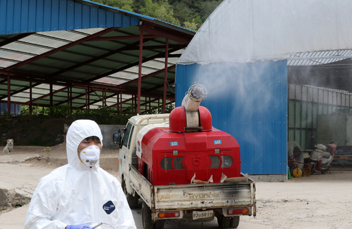 31일 오후 강원 접경지역인 양구군의 한 양돈 농가에서 방역 차량이 아프리카돼지열병(ASF) 차단을 위해 소독약품을 뿌리고 있다. 양구=연합뉴스