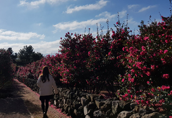 휴애리 자연생활공원을 찾은 관광객.