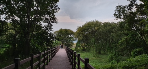 달성습지 나무 데크 탐방로