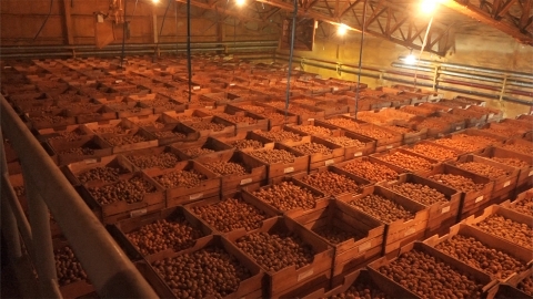 오리온 감자연구소/오리온