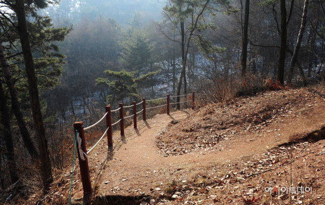 봉수산 휴양림 산책로.