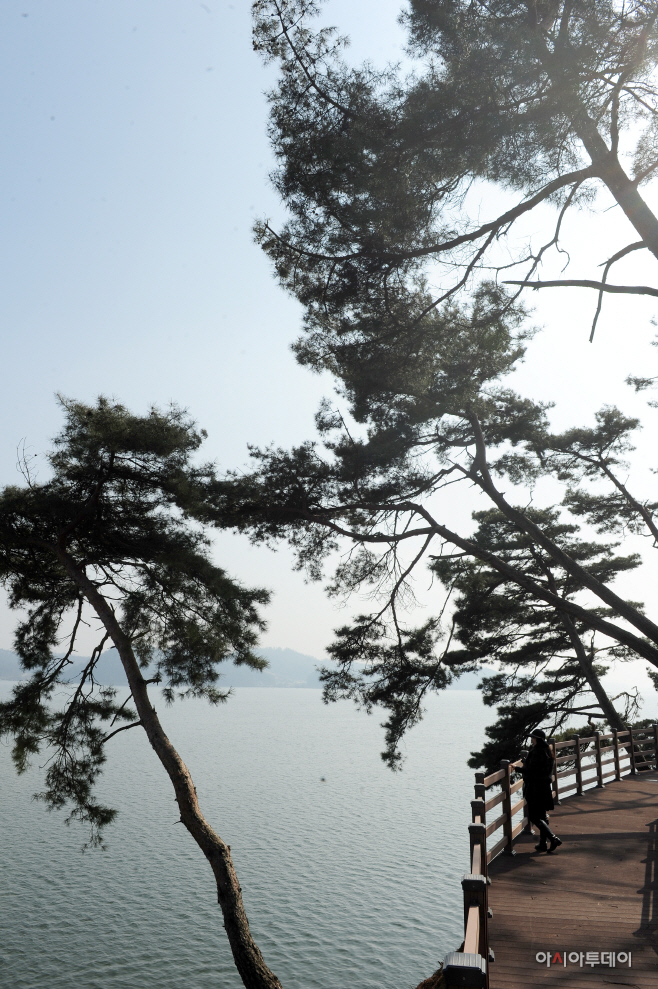 예당호 출렁다리와 연결된 산책로. 바다 같은 호수가 펼쳐진다.
