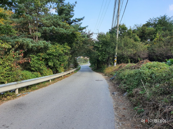 관음사 가는길, 초입을 제외하고는 차량이 드물어 한적한 분위기에 새소리만 들린다./사진=홍화표 기자