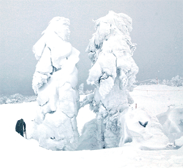 요시모리 산정의 주효평원. 덮인 눈에 나무는 괴물 모습을 띤다.