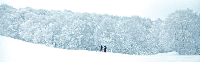 온통 눈으로 덮인 순백의 세상에서 즐기는 스키는 한국에서의 그것과 완벽히 차원을 달리한다. 겨우내 370cm의 눈이 내리는 혼슈 북방 아키타현의 이 다자와코 스키장은 지금껏 다녀온 160개 스키장 가운데서도 설질과 풍광 등이 매혹적인 명소로 거의 최고에 속한다.