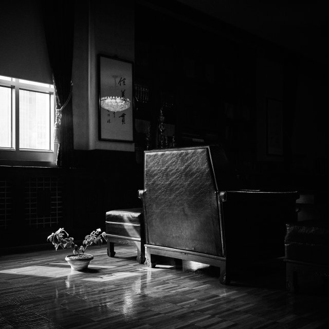 이승엽 ‘동백나무’. 디노마드 제공