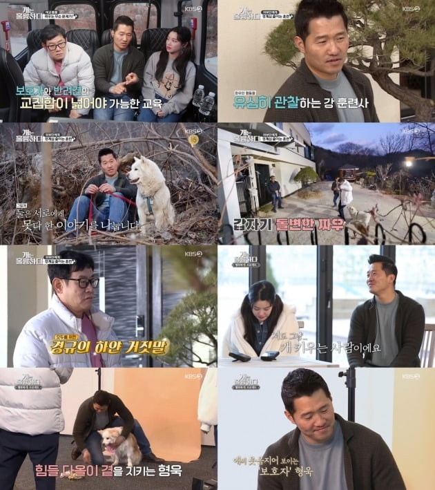 사진= KBS2 '개는 훌륭하다' 방송 화면.