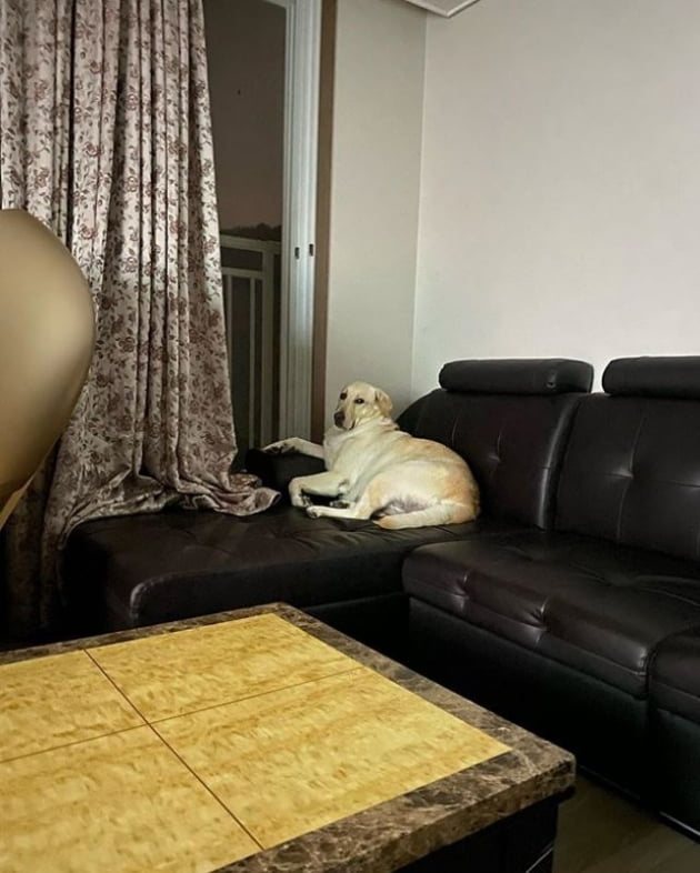 사진=권민아 인스타그램