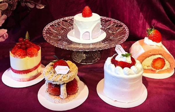 (출처='호텔세느장' 인스타그램)