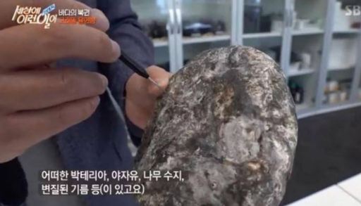 (출처=SBS 캡처)