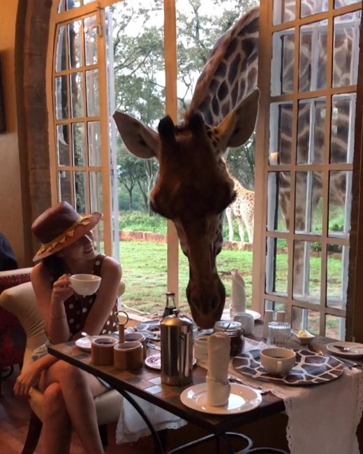 (출처=진재영 SNS)