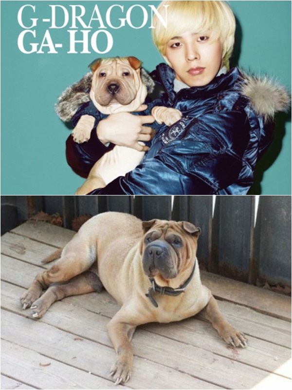 (출처=온라인커뮤니티)