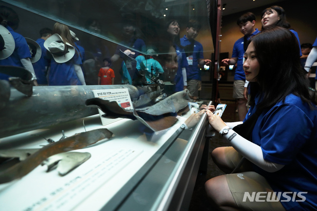 【고성(강원)=뉴시스】 이윤청 기자 = '제11회 대한민국 해양영토 대장정'에 참가한 대원들이 9일 강원 고성군 DMZ박물관에서 연평도 포격 사건 당시 발견된 방사포 포탄 추진체를 살펴보고 있다. 올해 해양영토 대장정은 해양수산부(장관 문성혁)가 주최하고 한국해양재단(이사장 강무현)이 주관하며 부산항만공사(사장 남기찬)와 민영뉴스통신사 뉴시스(대표이사 김형기), 3.1운동 및 대한민국임시정부 수립 100주년 기념사업추진위원회의 후원으로 진행된다. 참가자들은 '희망팀(서해)'과 '미래팀(동해)'으로 나눠 울릉도, 독도, 백령도 및 거문도 등 우리나라의 끝단도서와 주요 해양도시 및 천안, 안동 등 우리 선조들의 독립운동성지를 탐방한다. 2019.08.09.radiohead@newsis.com