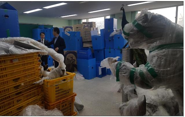 불곰 등 포유류 62점