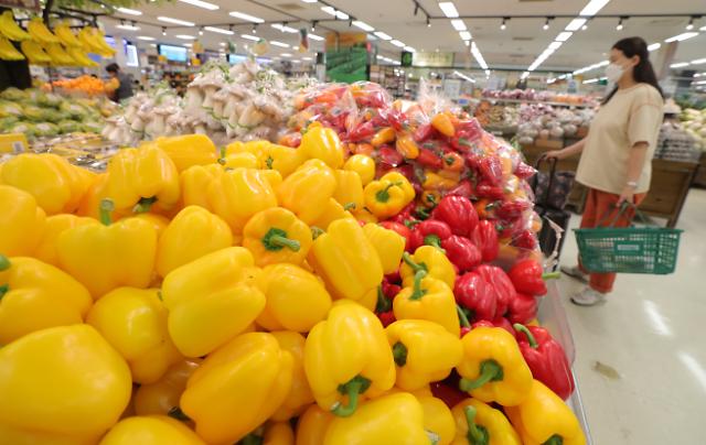 4월 소비자물가 0.1% ↑…6개월만에 최저     (서울=연합뉴스) 류영석 기자 = 신종코로나바이러스 감염증(코로나19) 확산 방지를 위한 사회적 거리두기의 여파로 지난달 소비자물가가 0%대 상승세를 보이며 6개월 만에 최저치를 기록했다.     4일 통계청의 소비자물가 동향에 따르면 지난 4월 소비자물가지수는 104.95(2015년=100)로 지난해 같은 달 대비 0.1% 상승해 작년 10월(0.0%) 이후 6개월 만에 가장 낮은 수준을 보였다. 이 중 농·축·수산물 가격은 1.8% 상승한 반면 공업제품은 0.7% 하락했다.     사진은 이날 오전 서울의 한 대형마트의 농산물 코너. 2020.5.4     ondol@yna.co.kr/2020-05-04 10:38:28/ <저작권자 ⓒ 1980-2020 ㈜연합뉴스. 무단 전재 재배포 금지.>