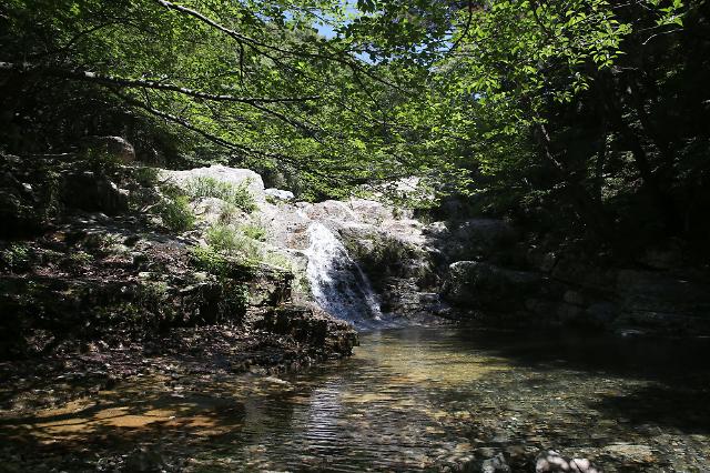 김해 대청계곡 모습.