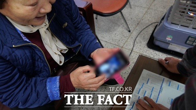 제주에서 만난 고경택 씨의 먼 친척이 고경택 씨와 가까운 친척들에 대해 설명하고 있다./제주=이철영 기자