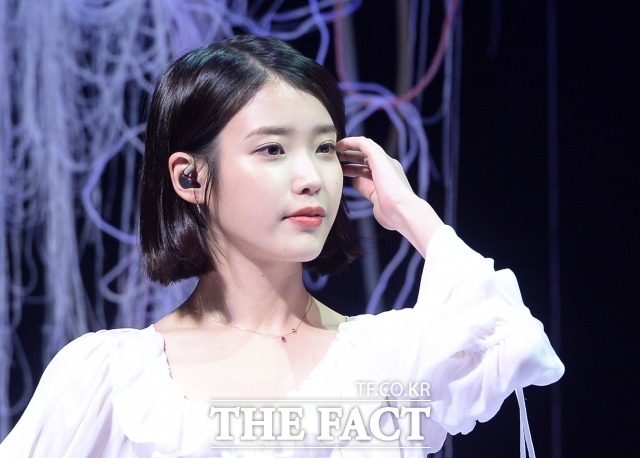 악플은 남겼던 누리꾼은 아이유가 글을 쓴 뒤 사과의 댓글을 남기고 있다. /더팩트DB