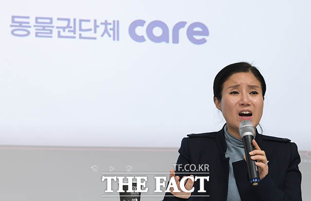 박소연 케어 대표의 '불법 안락사' 논란을 계기로 동물보호단체 활동의 진정성에 의문을 제기하는 시선이 많다. 사진은 박 대표가 지난 19일 서울 서초구의 한 빌딩에서 기자회견을 열고 입장을 밝히고 있는 모습. /김세정 기자