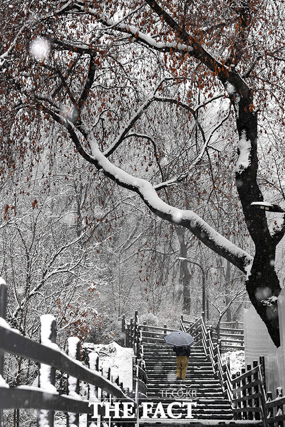 '눈산'을 즐기기 위해 찾은 시민들