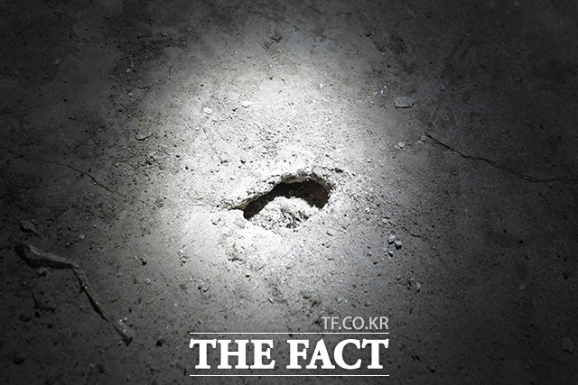 사람이 살지 않는 102동 지하실의 싱크홀. 시멘트로 차 있어야 할 공간이 텅 비어있는 모습이다.