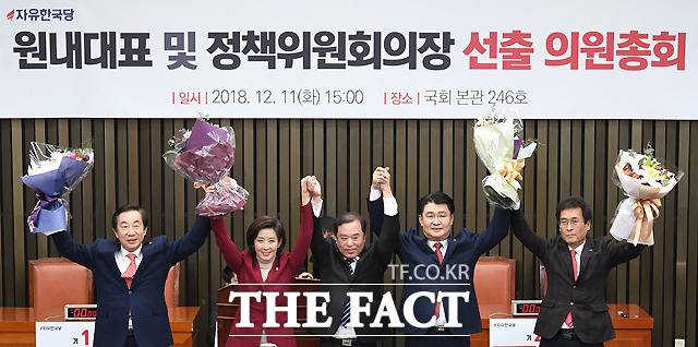 지난해 12월 11일 오후 서울 여의도 국회에서 원내대표 경선이 열린 가운데, 신임 원내대표로 선출된 나경원 의원. /이새롬 기자