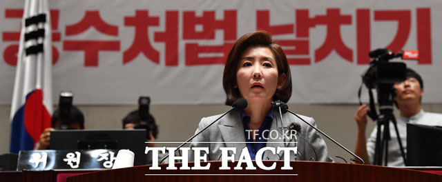 나경원 원내대표는 "패스트트랙은) 의회 민주주의의 사망선고이고, 삼권분립이 해체되는 것"이라며 "무한권력 대통령, 지리멸렬한 국회의 최종 배후는 바로 문재인 대통령"이라고 주장했다. /남윤호 기자