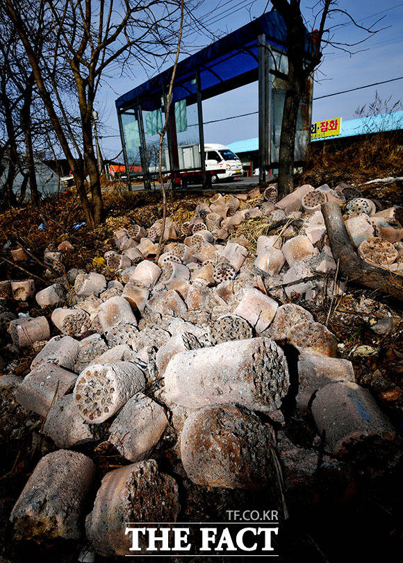 지난달 8일 인천 중구 을왕동 버스정류장 일대에 버려진 대량의 연탄 쓰레기.
