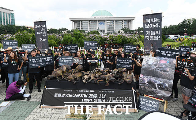 개 도살 금지와 개고기 반대 집회